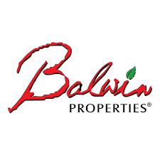 Balwin Property logo